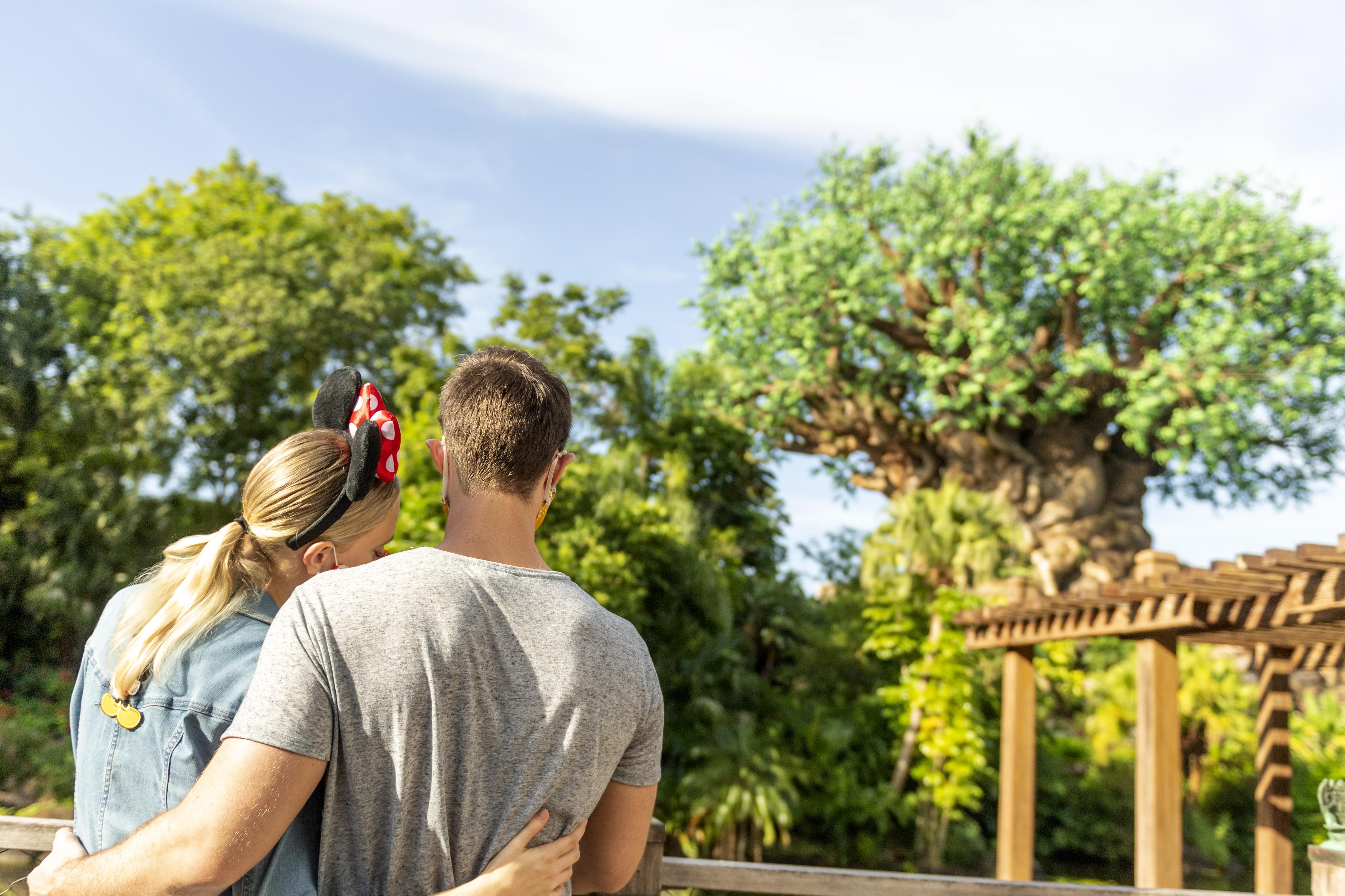 Disney'S Animal Kingdom Lodge Four Corners Ngoại thất bức ảnh