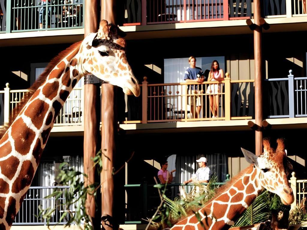 Disney'S Animal Kingdom Lodge Four Corners Ngoại thất bức ảnh