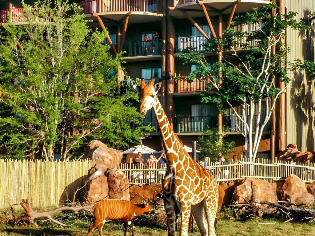 Disney'S Animal Kingdom Lodge Four Corners Ngoại thất bức ảnh